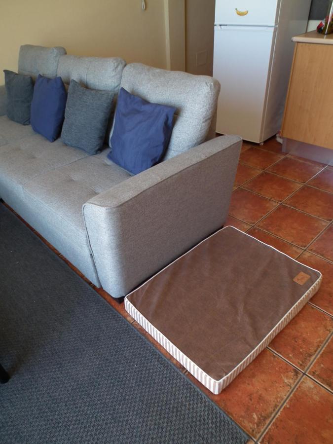 Apartamento Frodo Haus Tazacorte Exterior foto